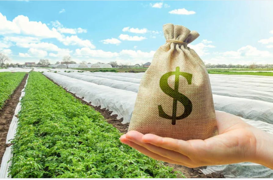 Agricultural Funding in Kenya: Unlocking Growth, Resilience, and Food Security