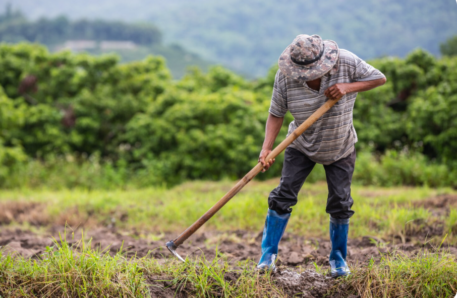 Farming in Kenya: Barriers, Solutions, and Policy Pathways for a Resilient Future: